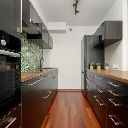Apartmán Black And Brown With Free Parking And Furnished Balcony In By Renters Vratislav